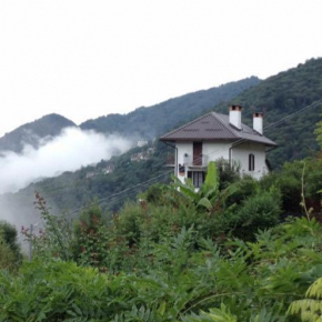  B&B La Locanda del Cinghiale  Аурано